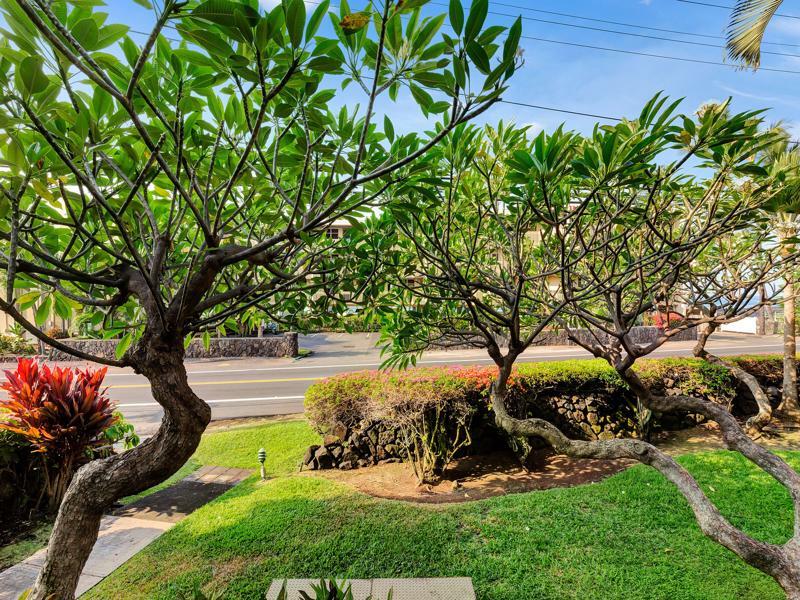 Castle Kona Bali Kai A Condominium Resort Holualoa ภายนอก รูปภาพ